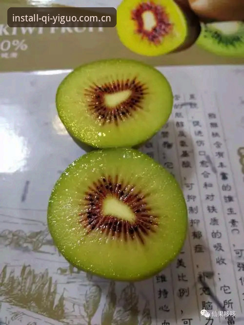 奇异果体育版本详解：老用户带你玩转新体验
