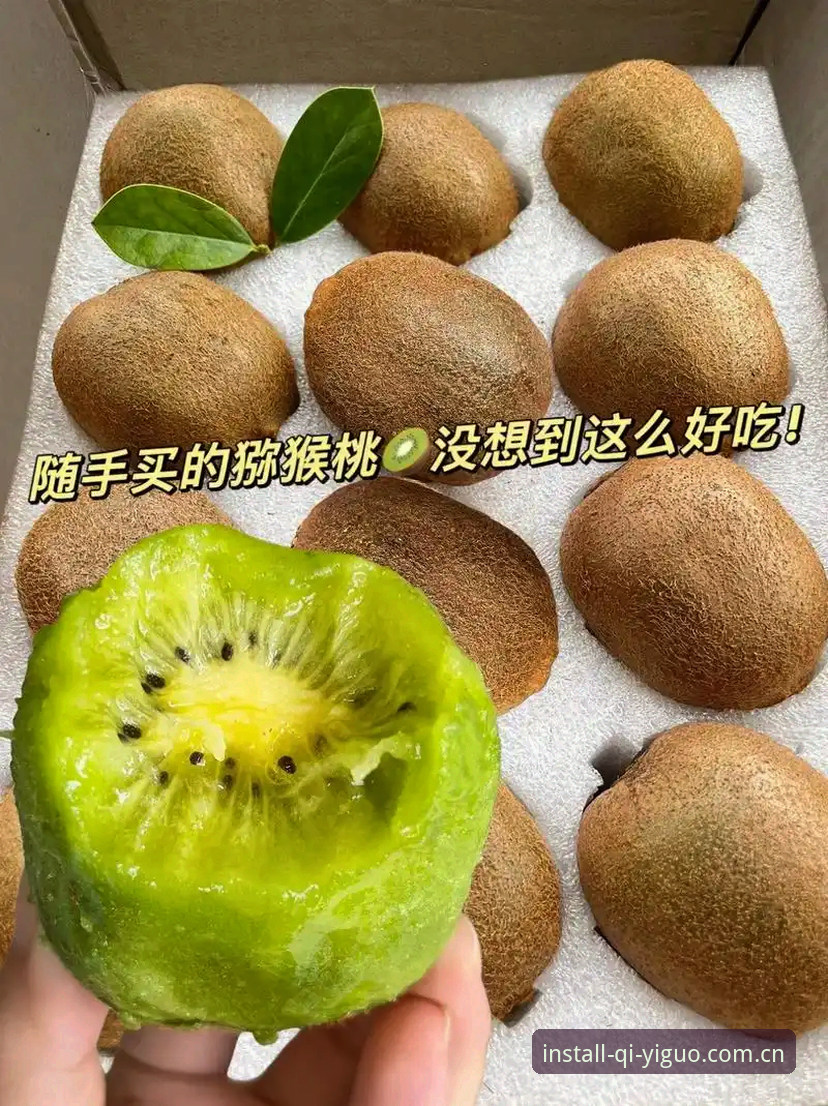 奇异果体育平台安卓端选择策略全面解析：从下载渠道到使用体验的深度分析